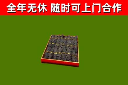 建平回收海参